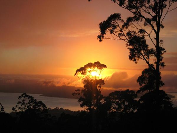 Woodbridge Hill Hideaway photo 4