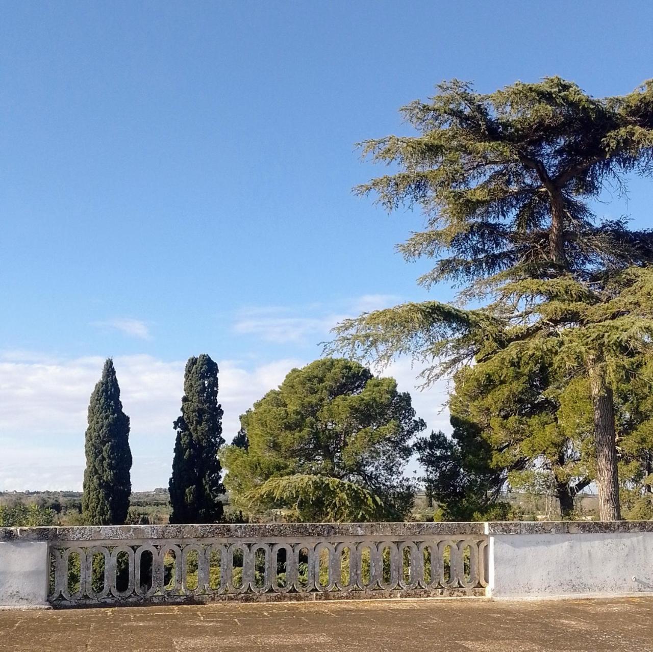 Agriturismo Villa Coluccia photo 3