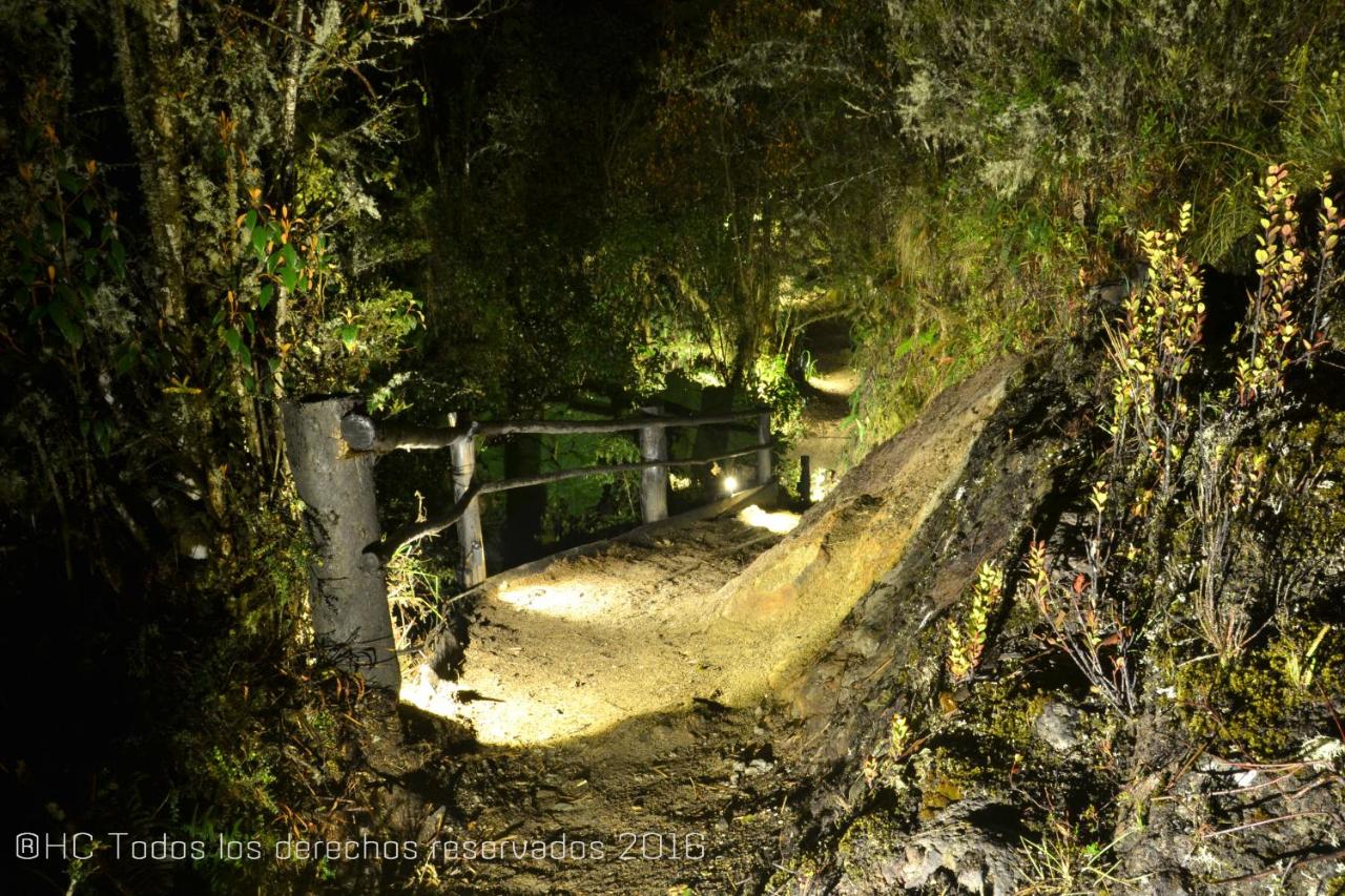 Hotel Termales del Ruiz photo 3