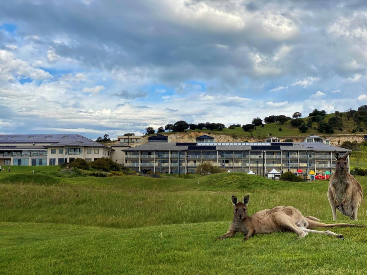 Lady Bay Hotel photo 3