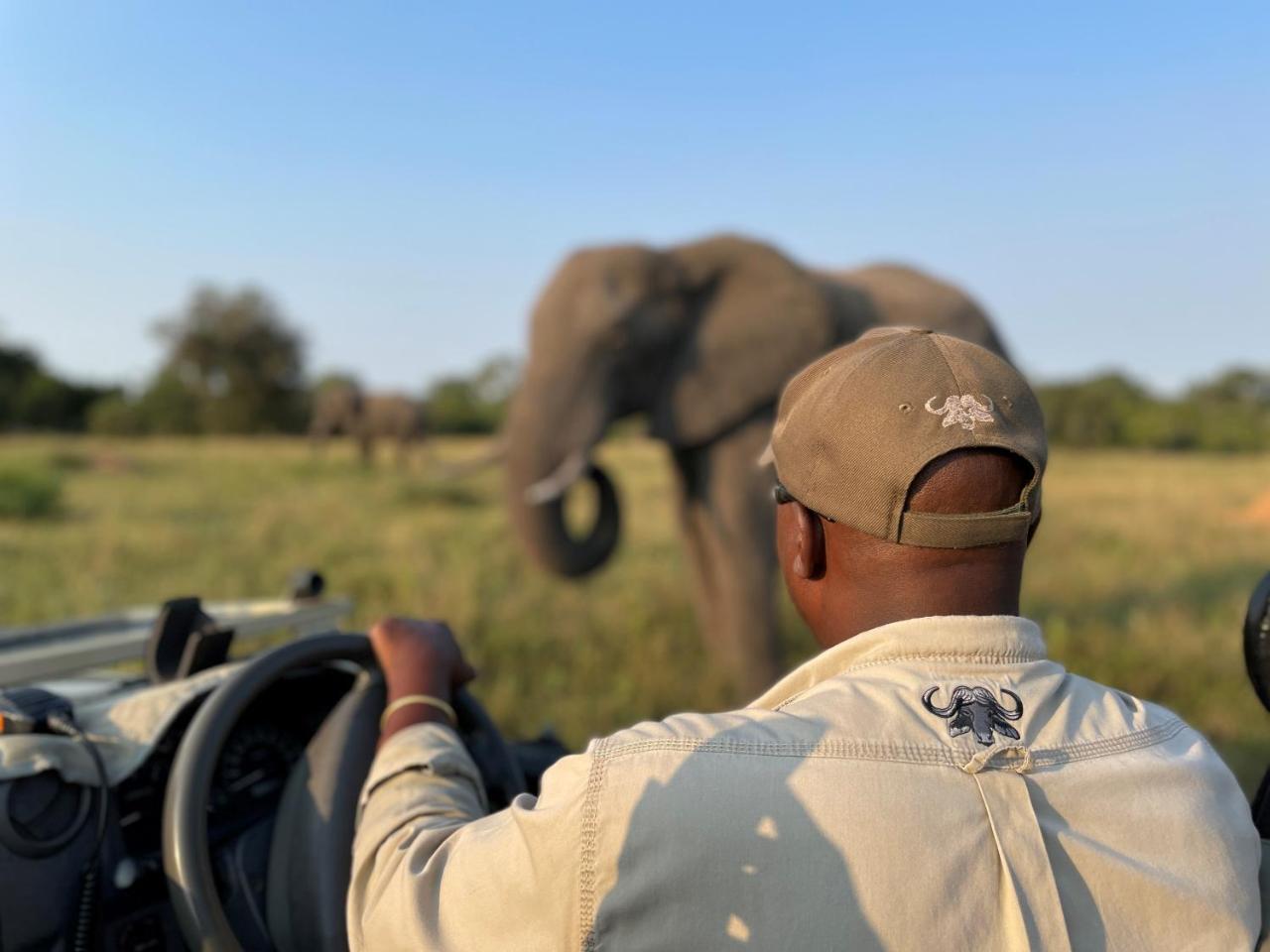 Inyati Game Lodge photo 3