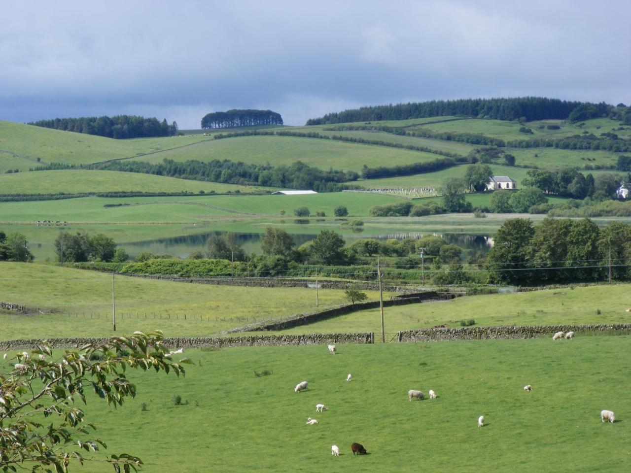 Airds Farm Guest House - 5