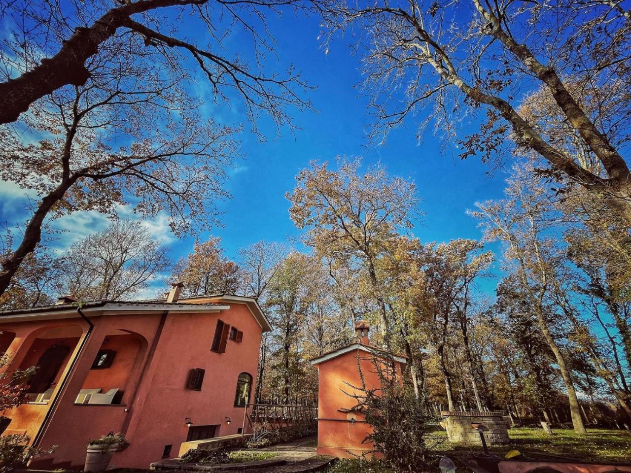 Guest House La Selvotta - 5