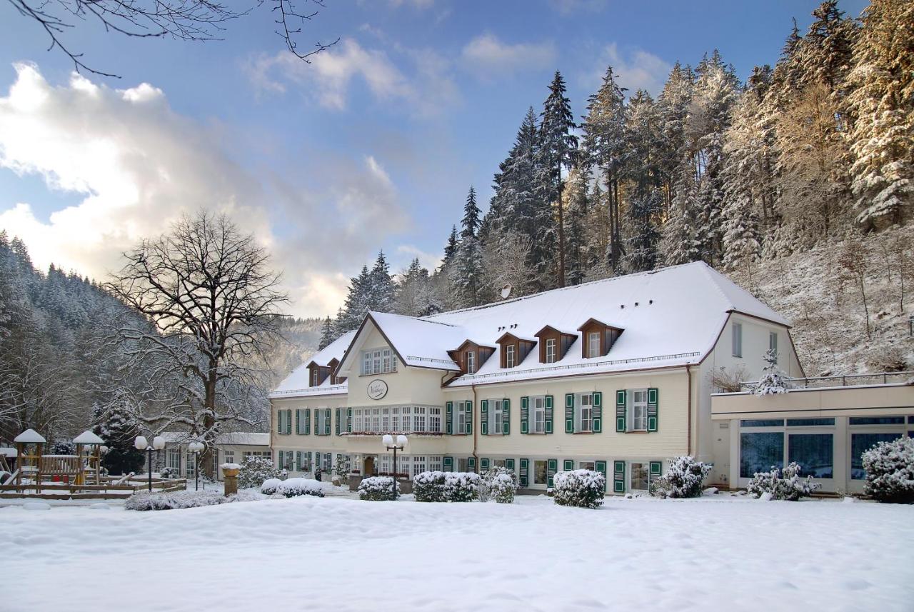 Waldhotel Bad Sulzburg - 3