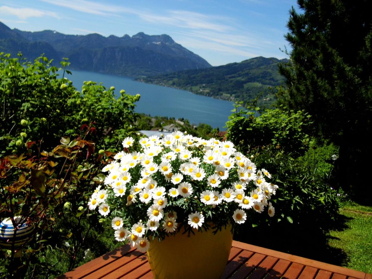 Biohof Schwanser photo 2
