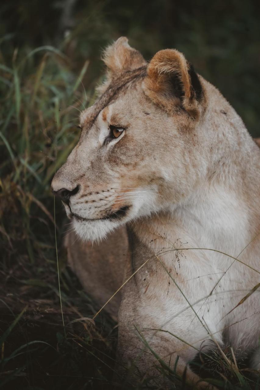 Rhino River Lodge photo 3