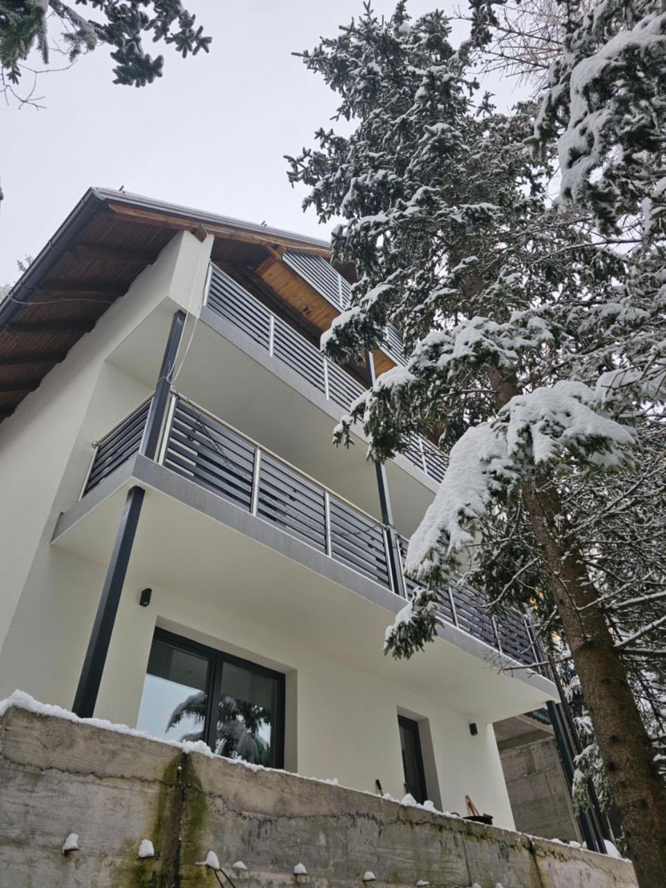 Vila Flora Vlašić - 5