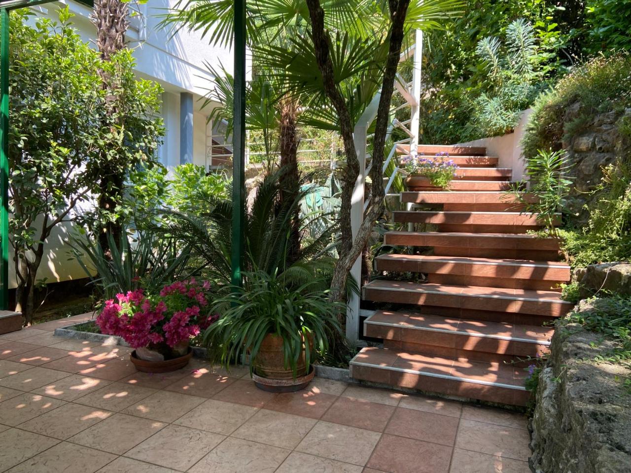 Sunny Garden - 2