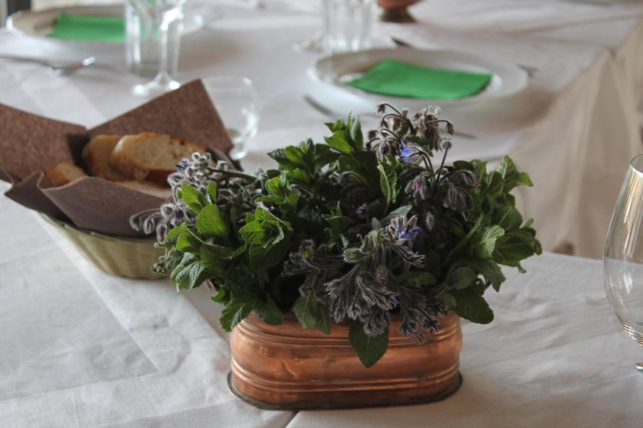 Country House Erba Regina photo 4