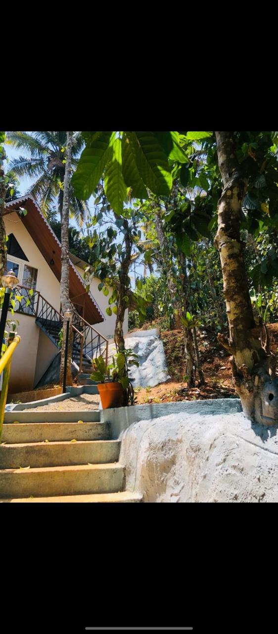 Wood Castle Munnar photo 3