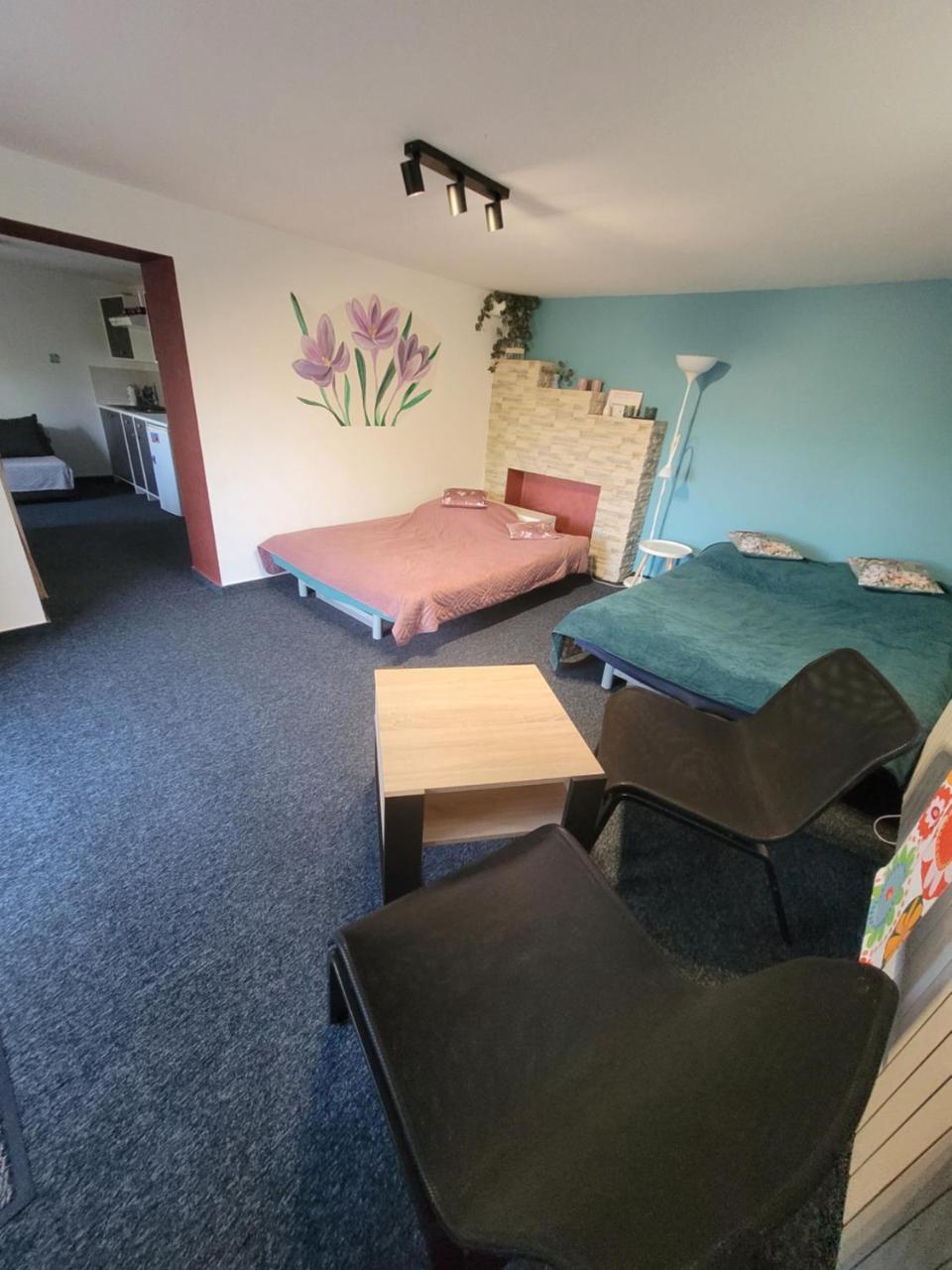 Apartamencik Pod Krokusem 2 - 4