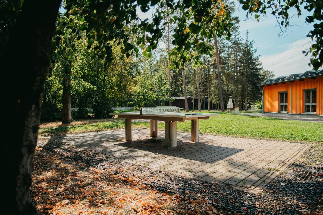 Forum Grillensee photo 4