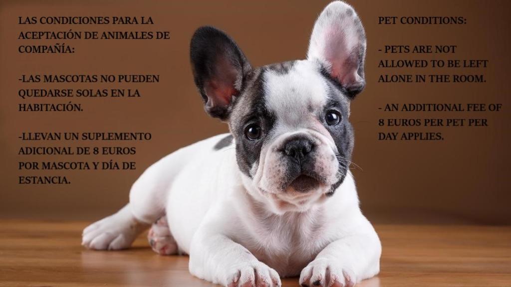 Las Abadías photo 4
