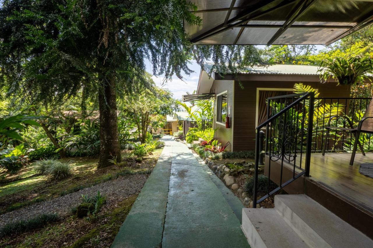 Cabañas Green House photo 4