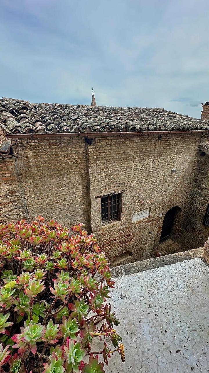Photo - Albergo Hotel Raffaello