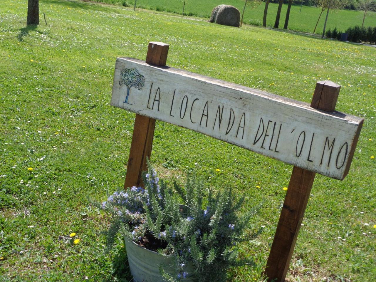 La Locanda Dell'olmo photo 4
