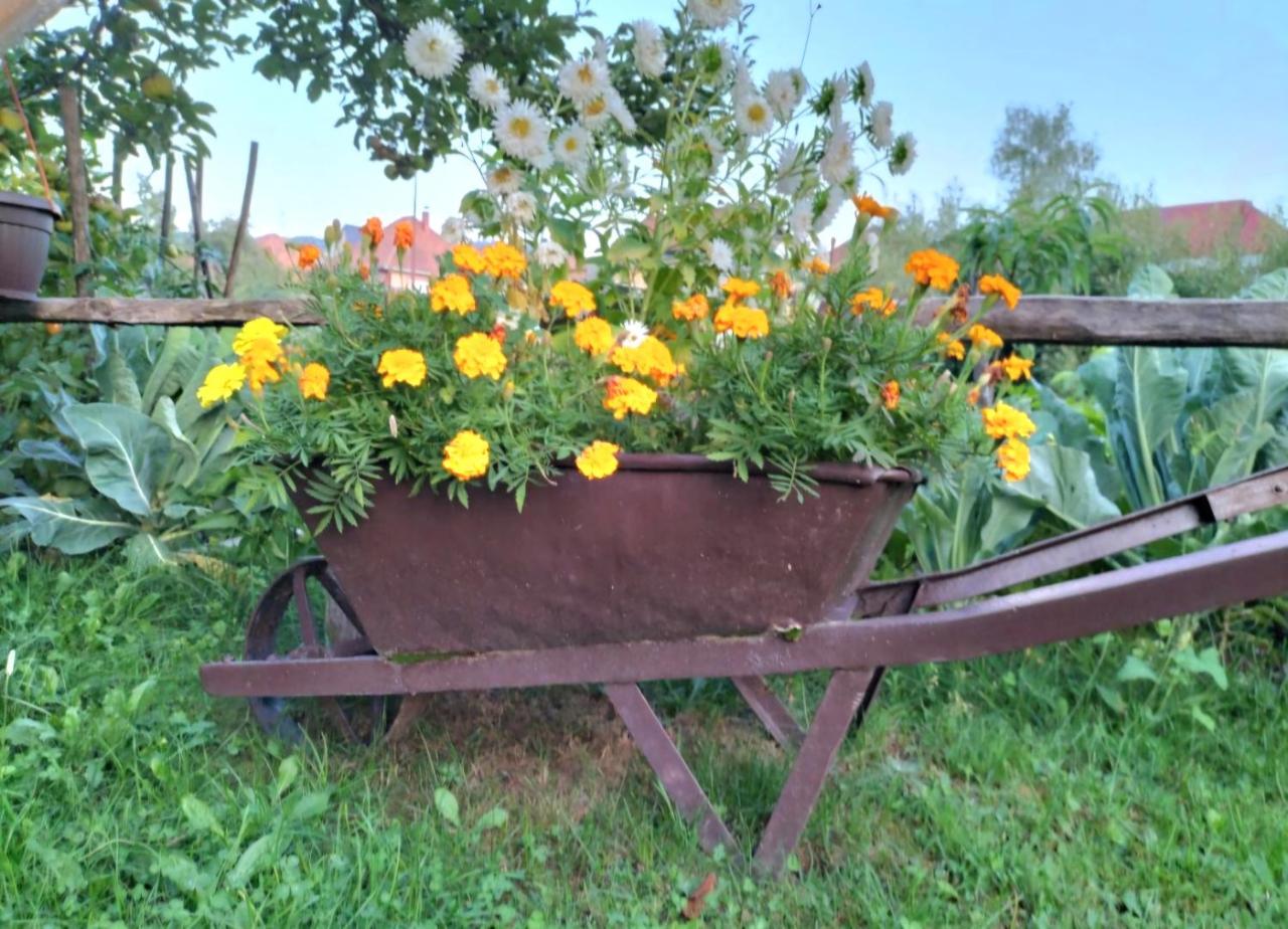 Etno smjestaj Bjelasica photo 4