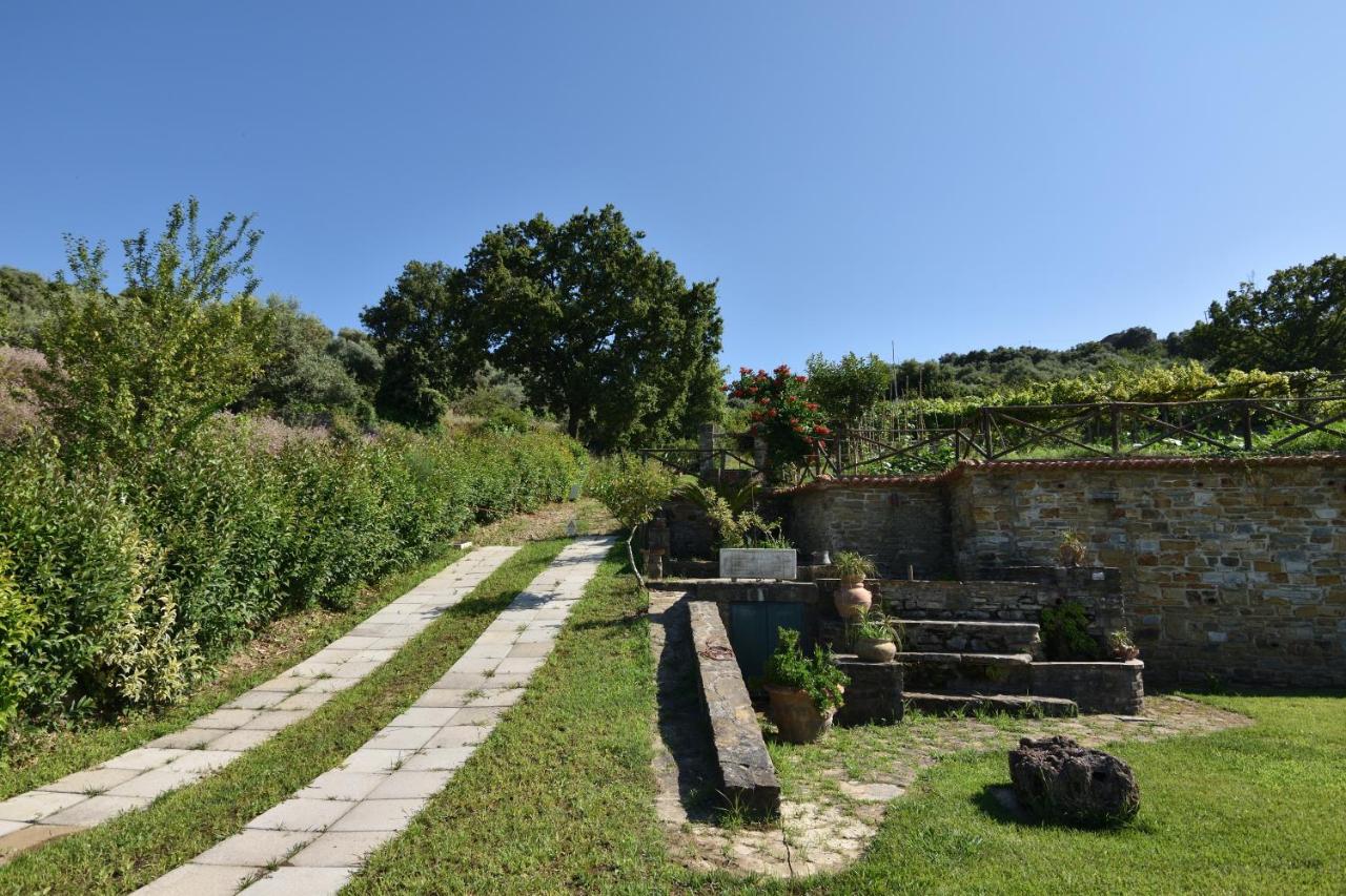 Casalesanpietro - 6