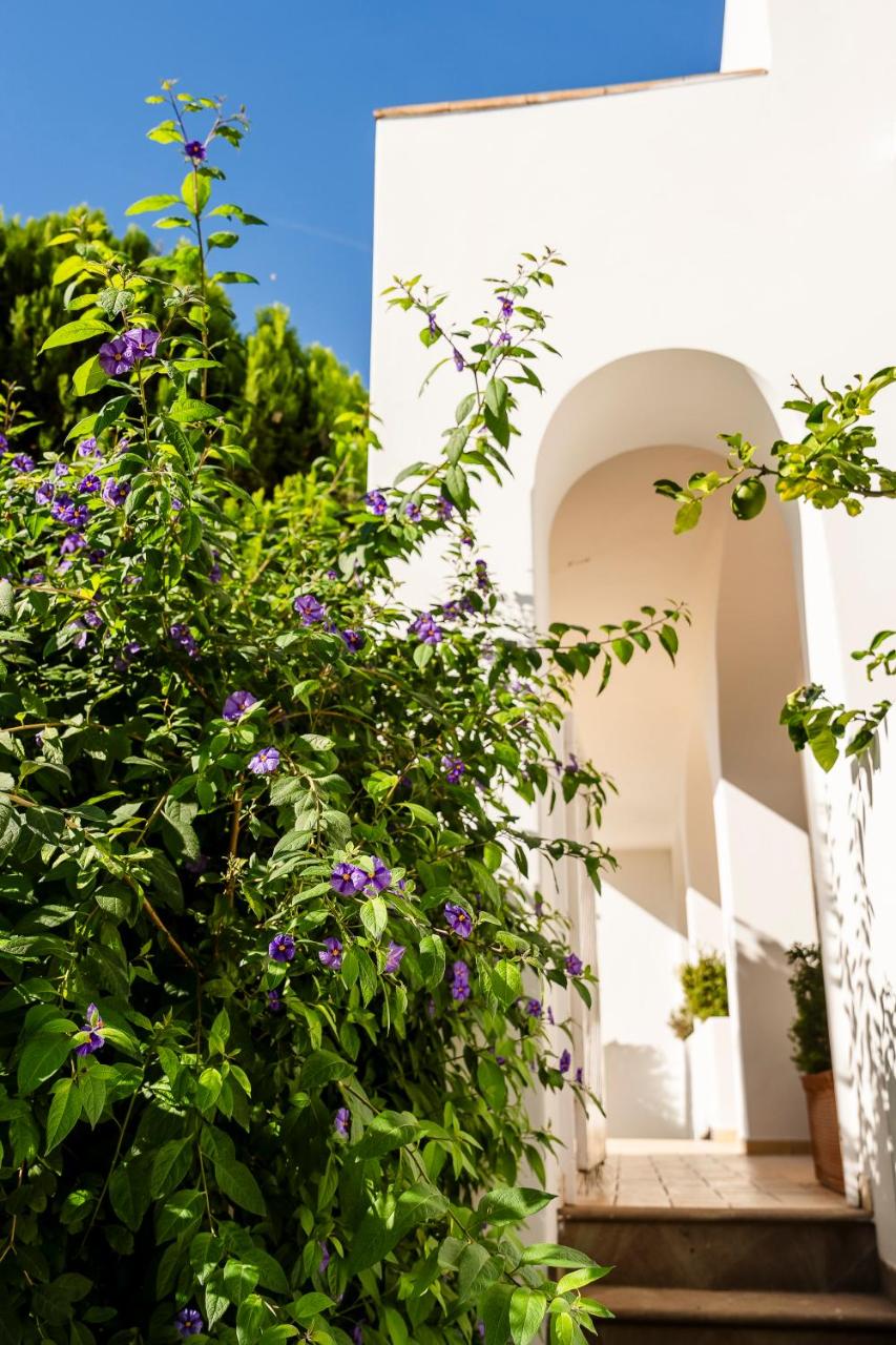 Hotel Senaria