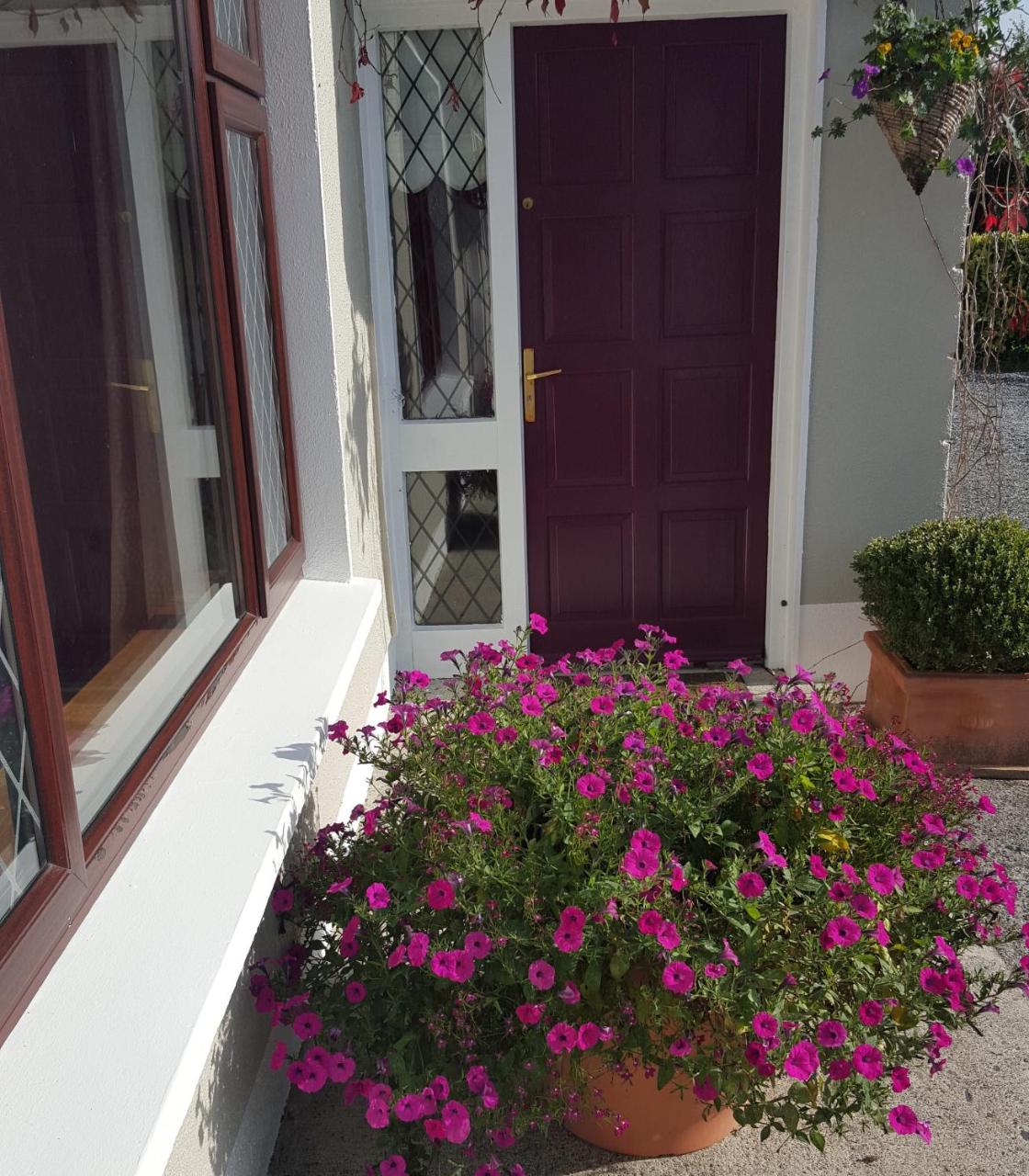 Ely House B&B photo 3
