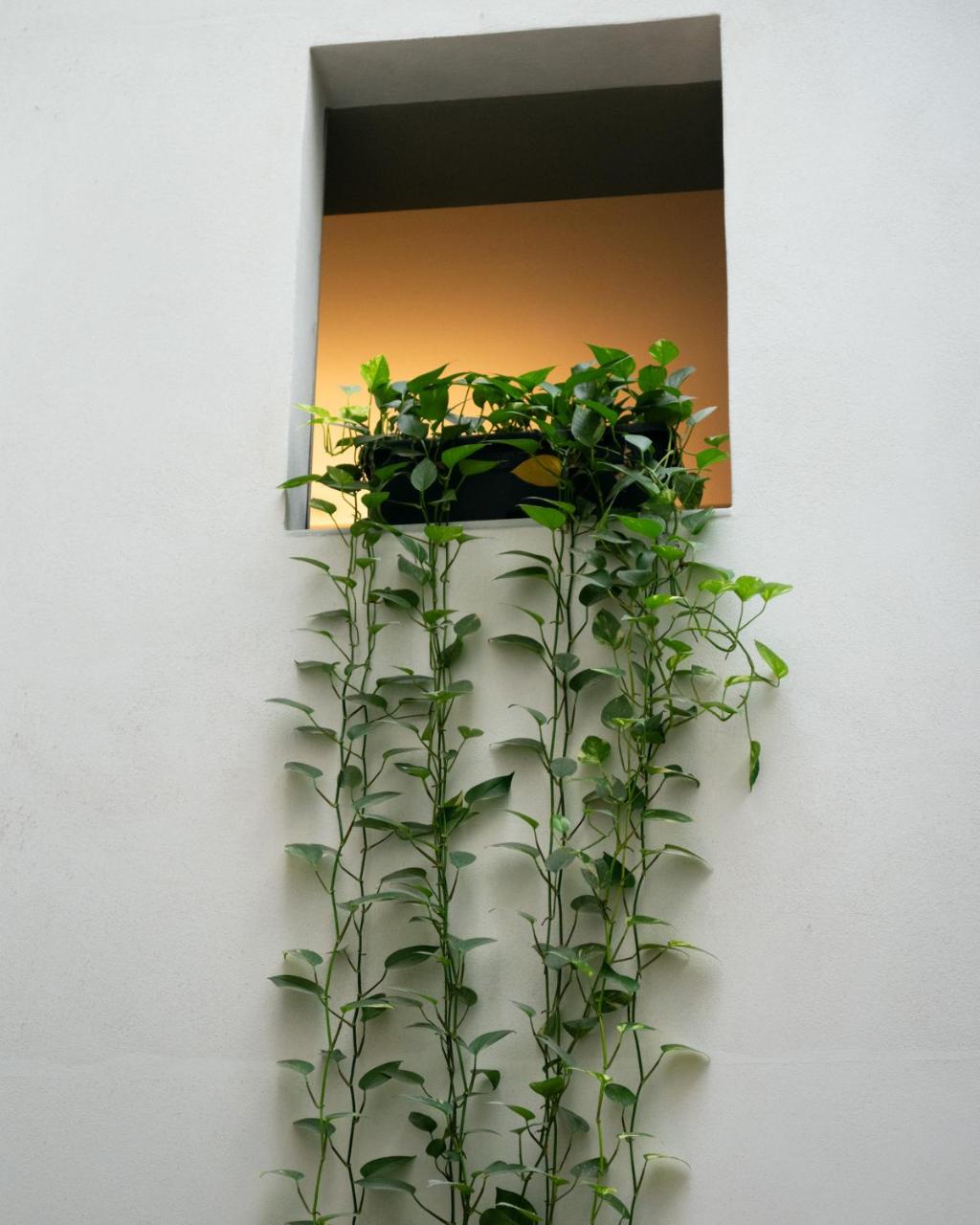 Hotel Ramblas Internacional photo 4