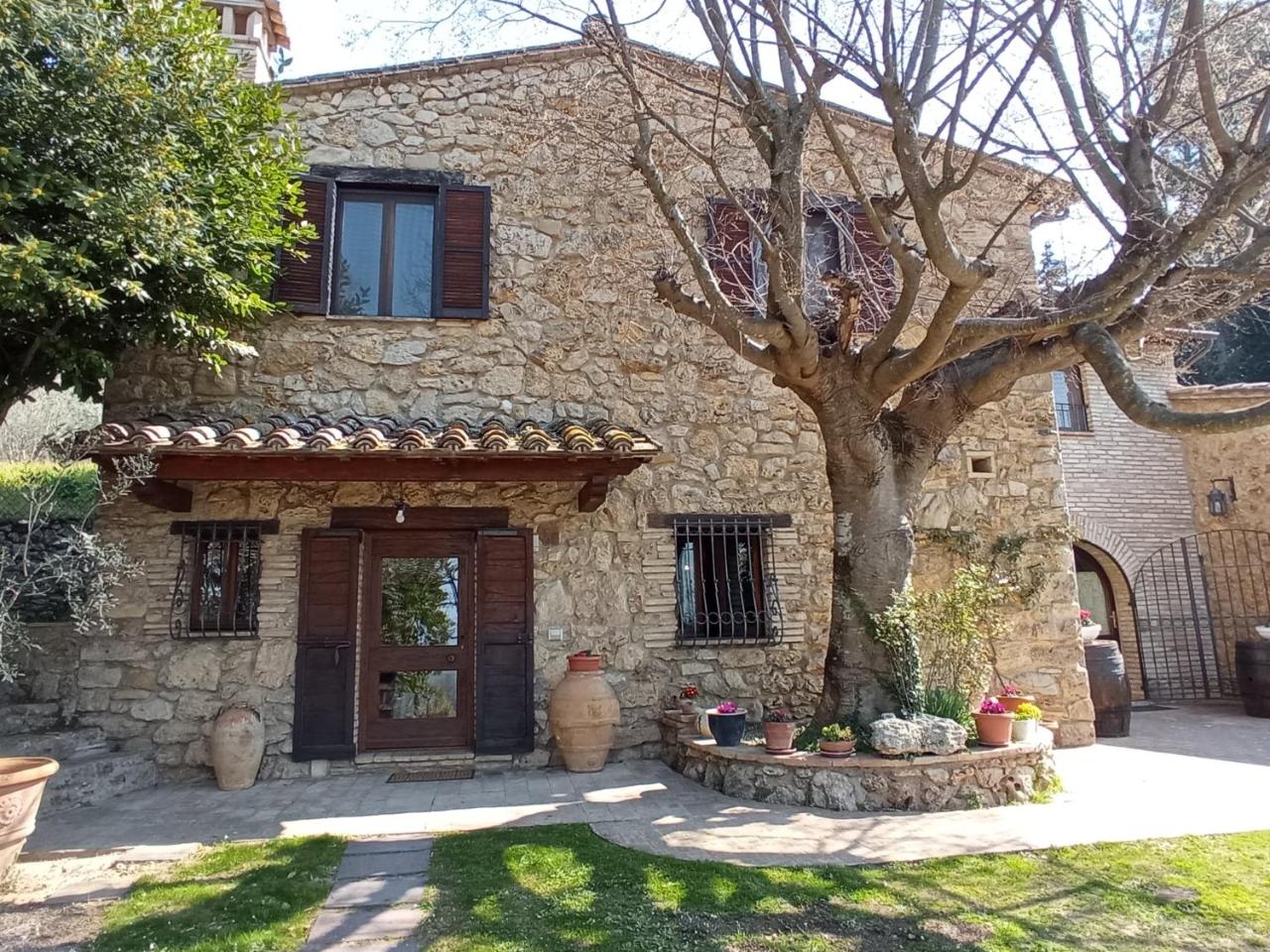 Foto - All'Ombra di San Damiano