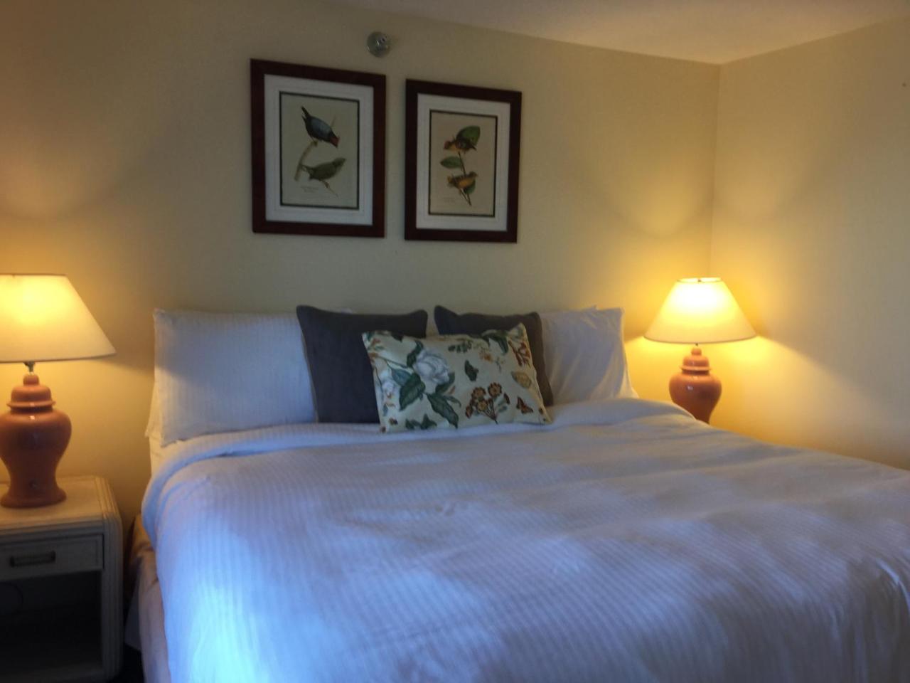 The Beach Rose Inn photo 3