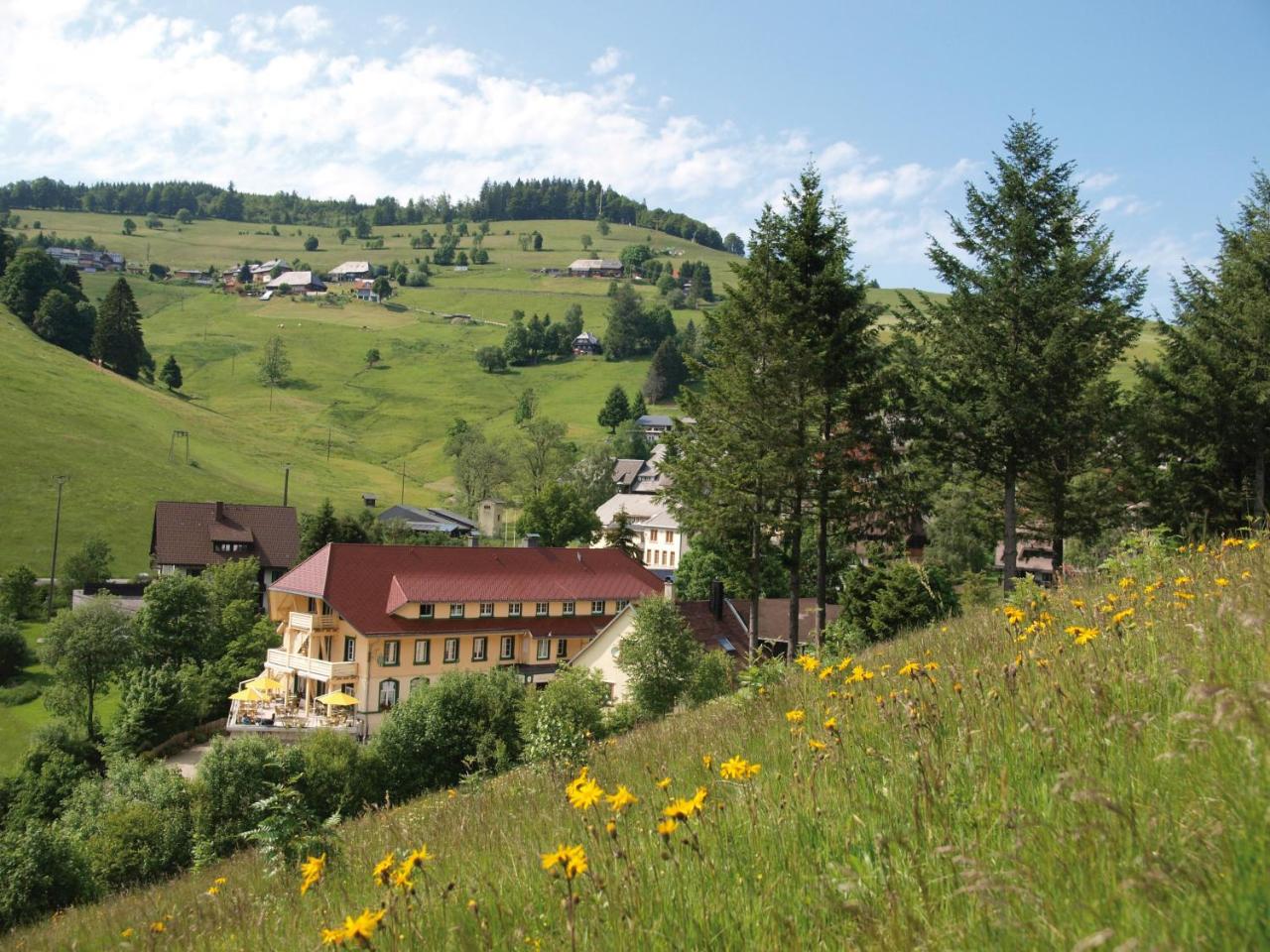 Grüner Baum Naturparkhotel & Schwarzwald-Restaurant