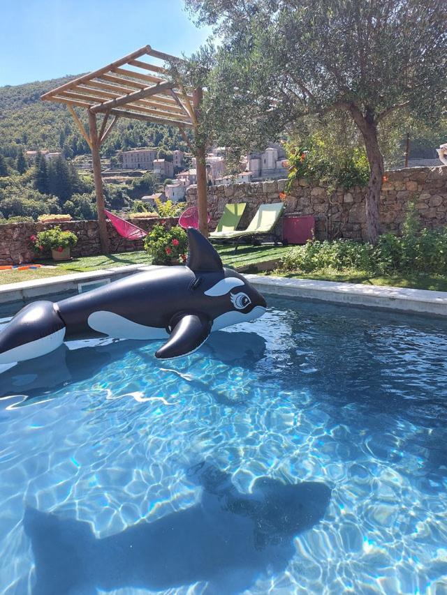 Gîte SPA Piscine Cévennes - 6