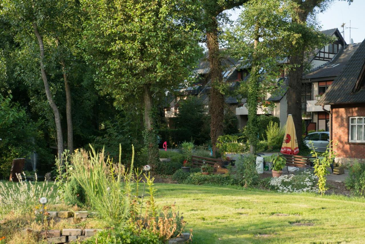 Haus Mönter-Meyer photo 2
