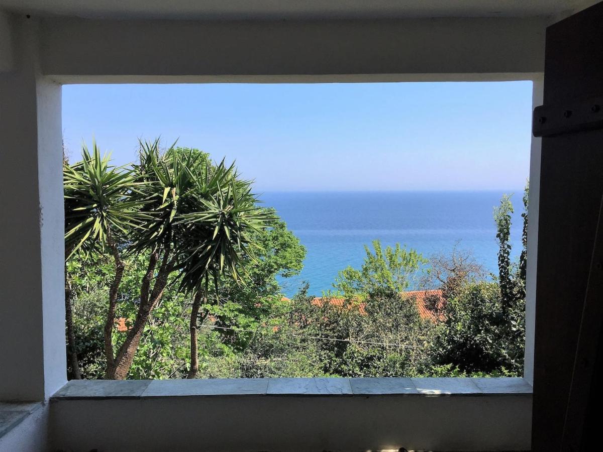 Amazing seaside beach home in the best location - 5