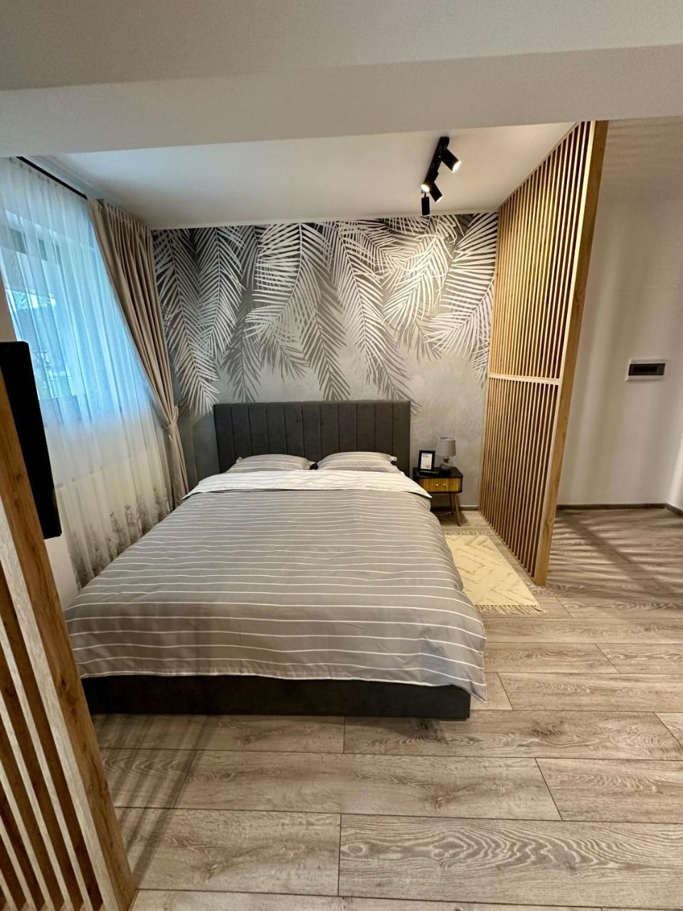 Sofia Residence Studio Cetate - 6