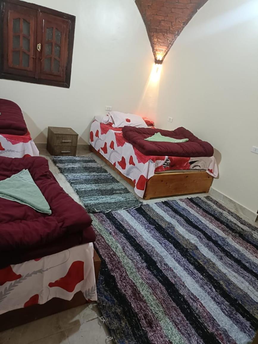 Badry Sahara Camp photo 3