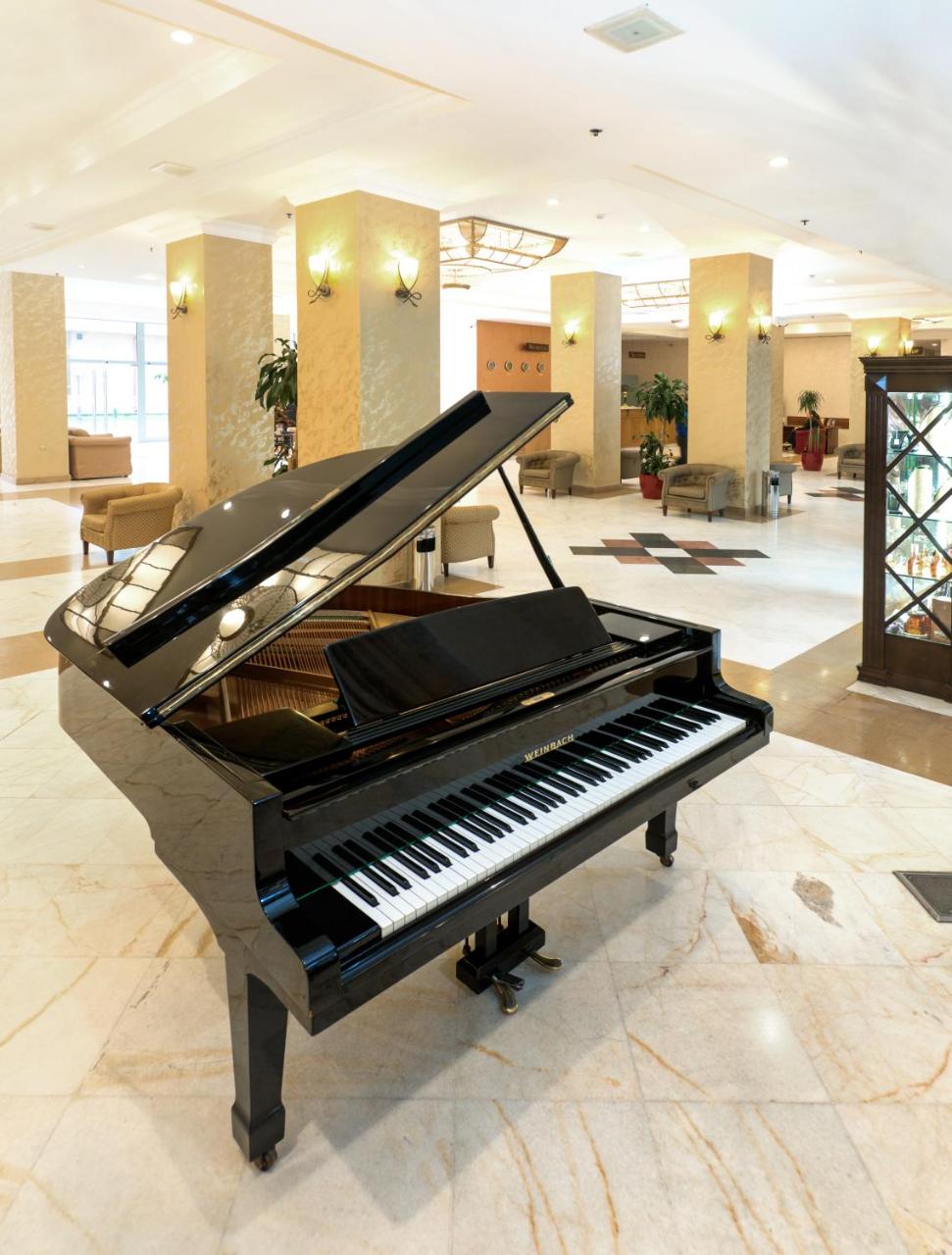 Ani Plaza Hotel photo 3