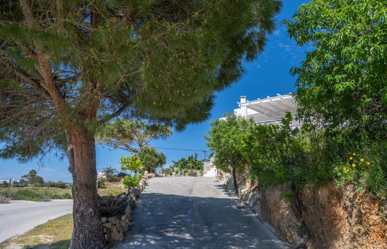 ‘Sophie’s Villa’ - 4