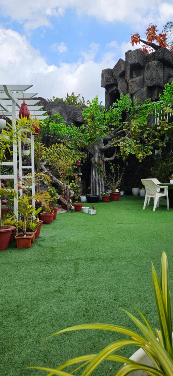 S & B Dreams House