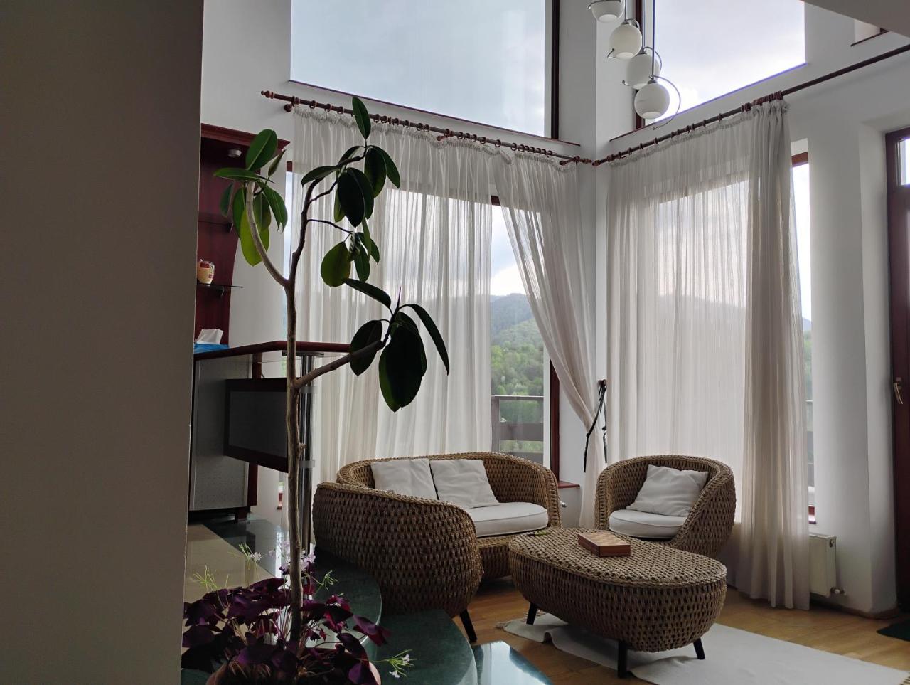 Paradise View - 4