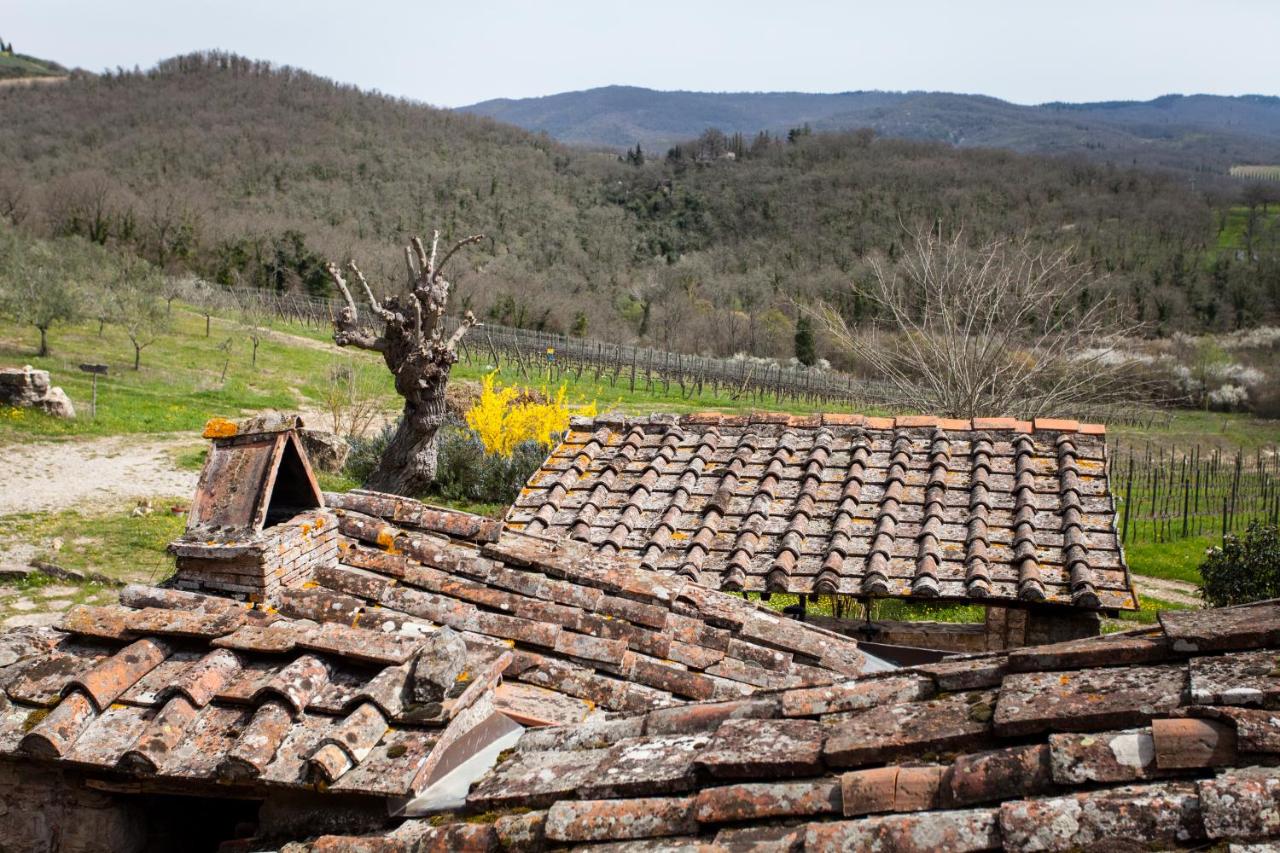 Podere Terreno alla via della volpaia photo 2