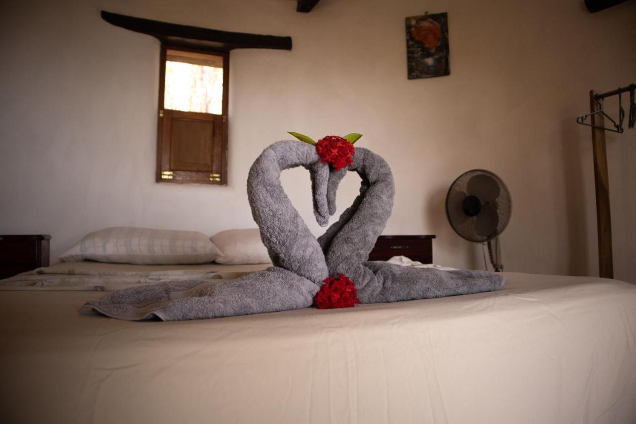 The Jungle Lodge photo 4