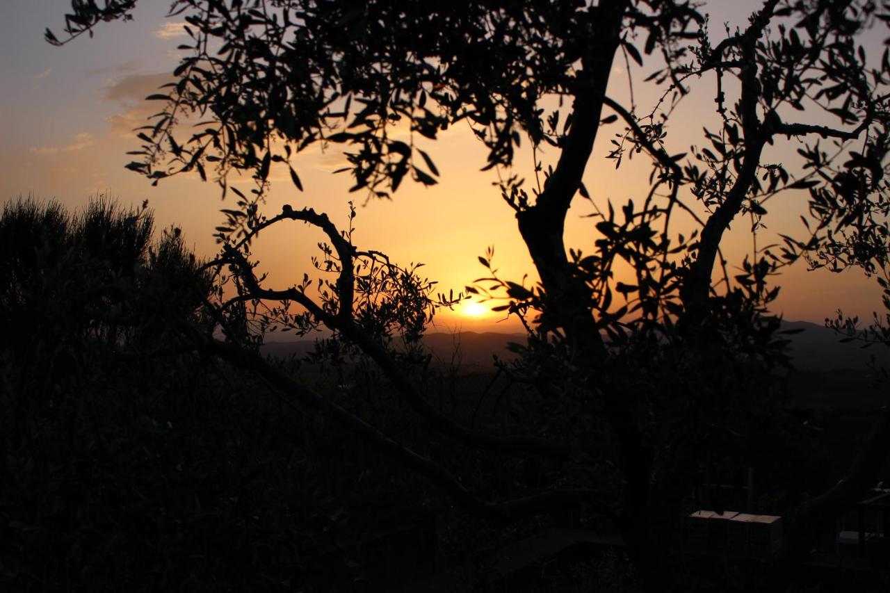 La Rocca delle Pigne photo 3