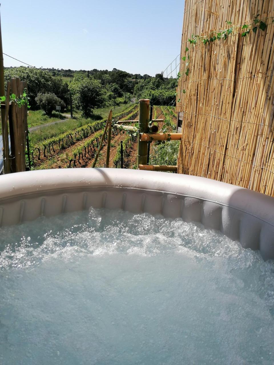 Conteneur avec spa privé face aux vignes - 3