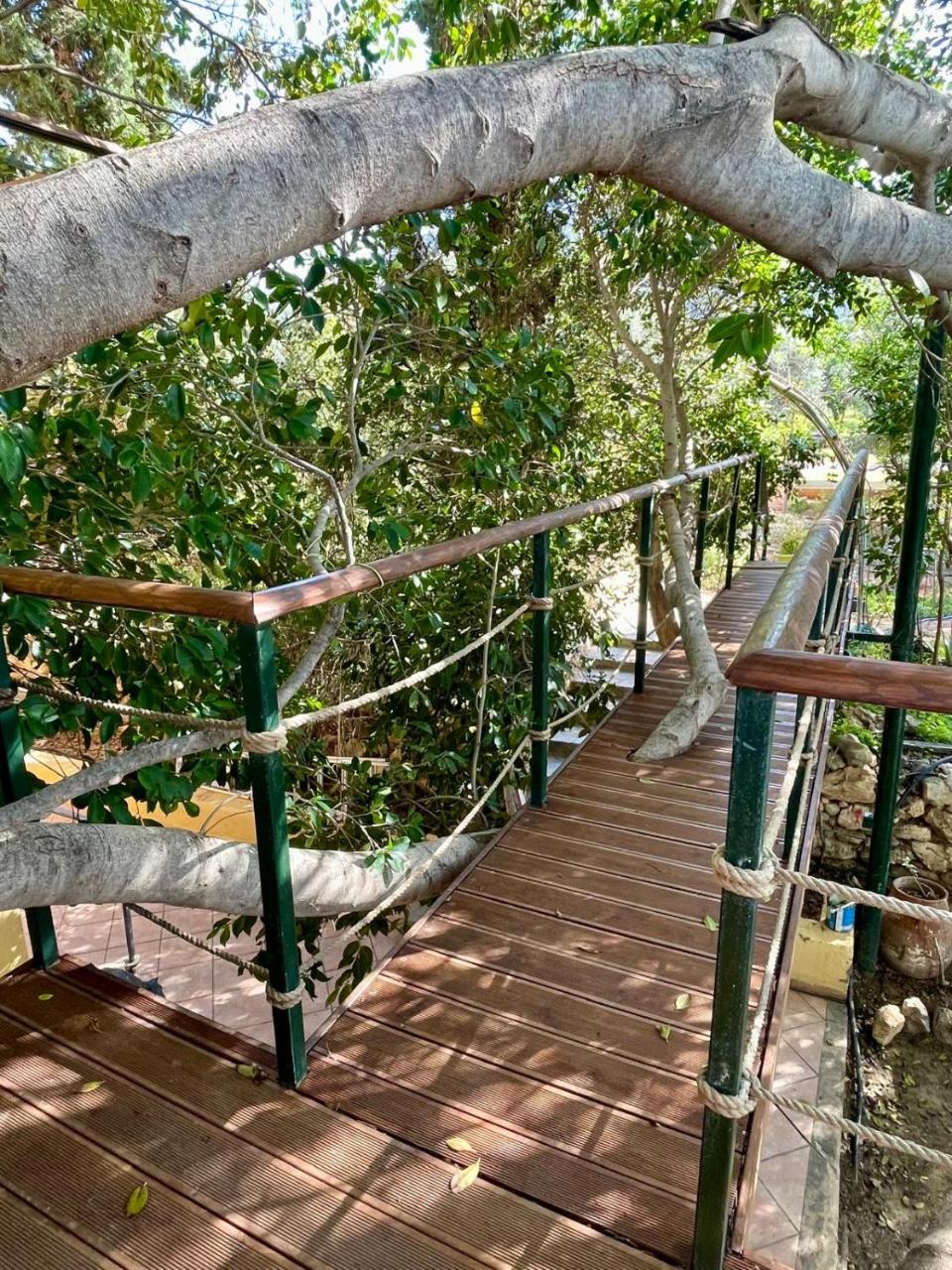 The Secret Treehouse - 3