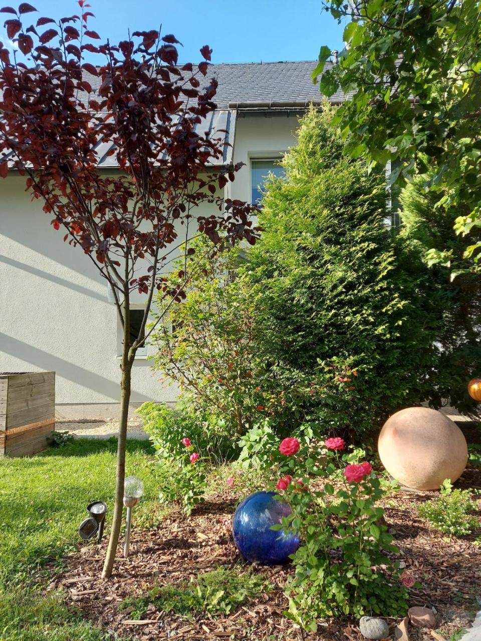 Ferienwohnung Reinhold - 4