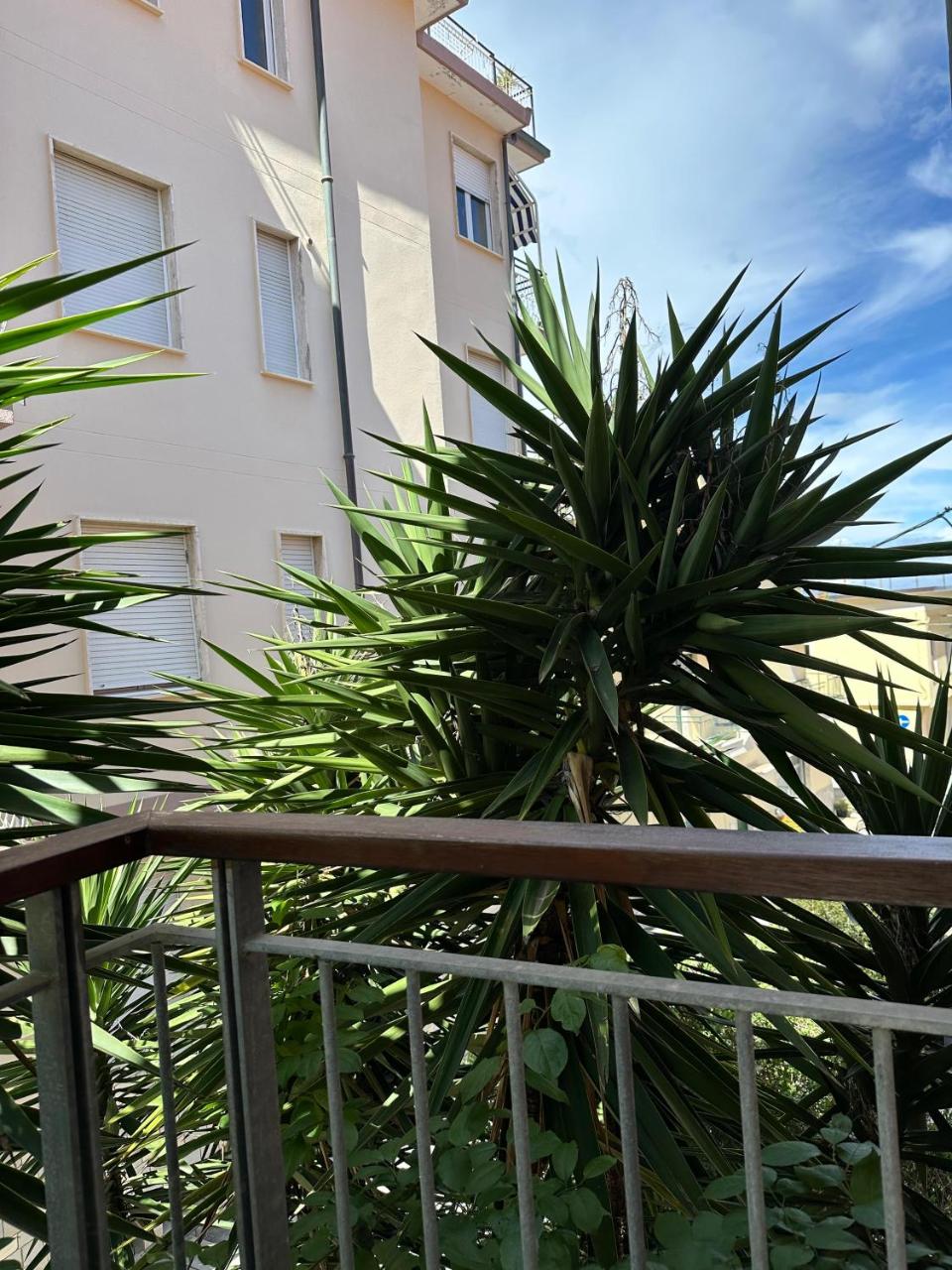 Hotel Mambo photo 3