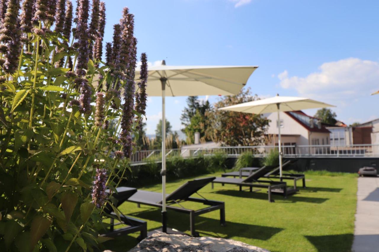 Landgasthof & Hotel zur Rose Berg