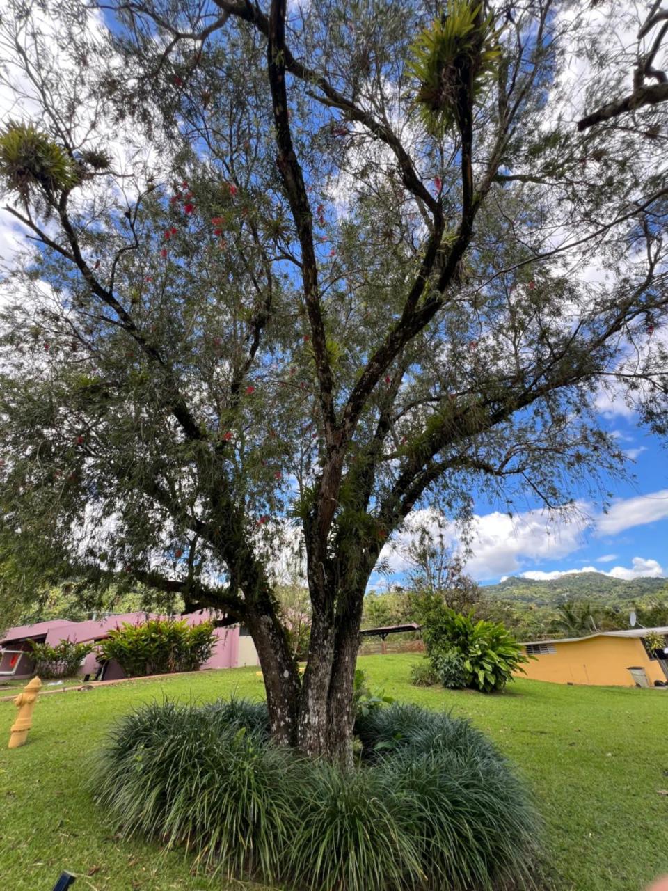 Hacienda Villa Sotomayor photo 4