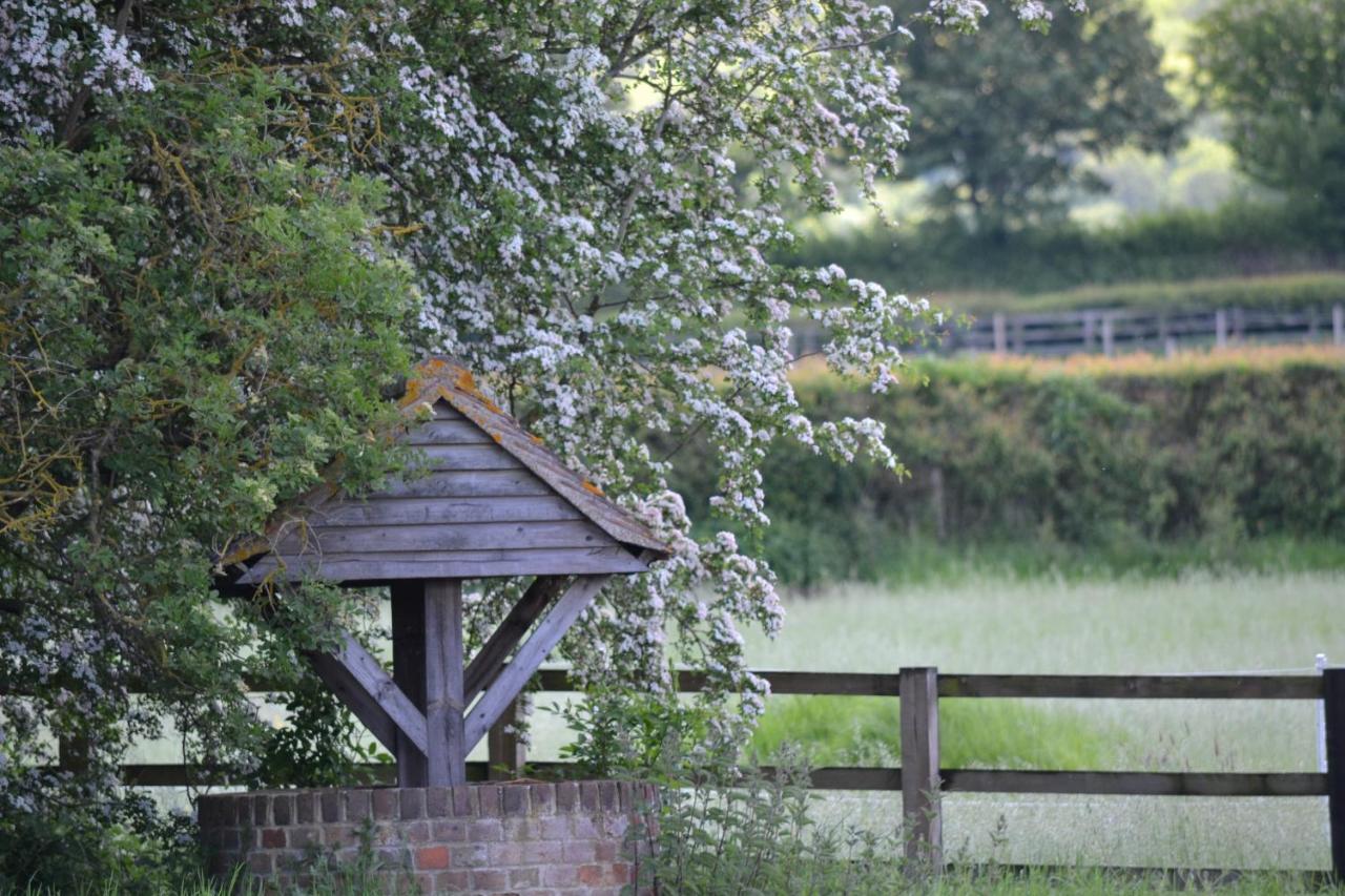 The Chiltern Lodges at Upper Farm Henton photo 2