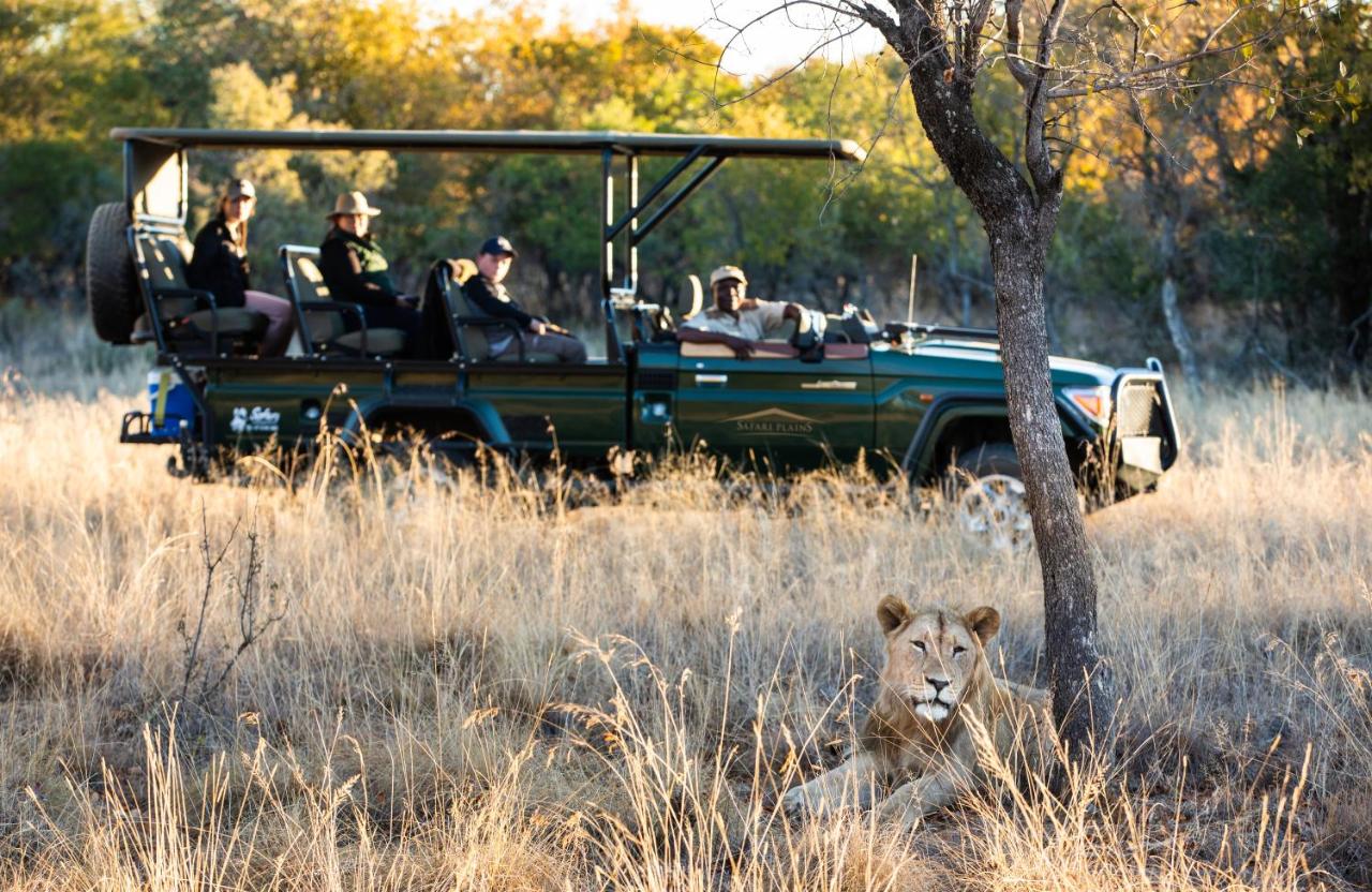 Safari Plains photo 4