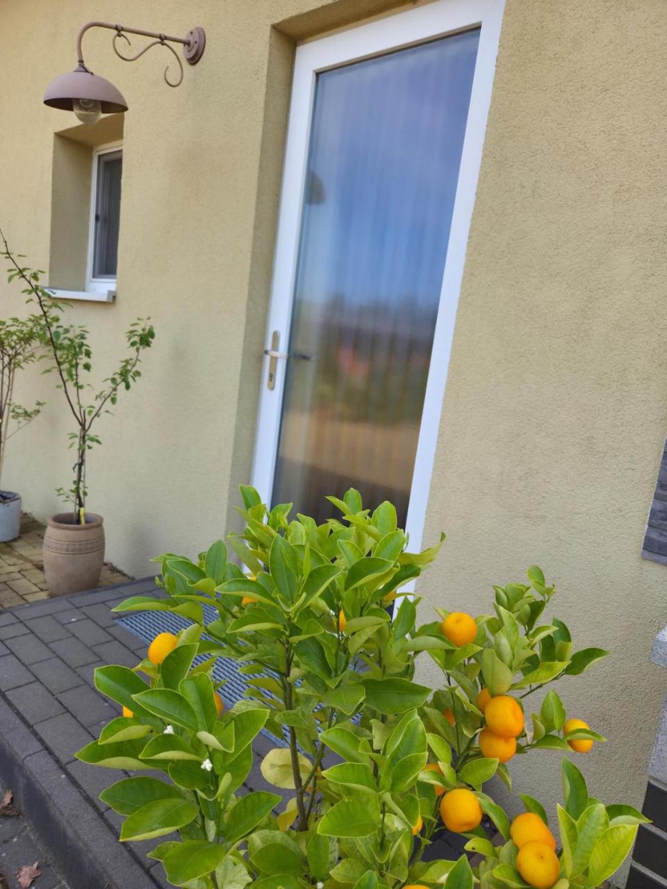 Charmantes Studio Ferienhaus mit Garten & Netflix Nähe Spreewald - 4