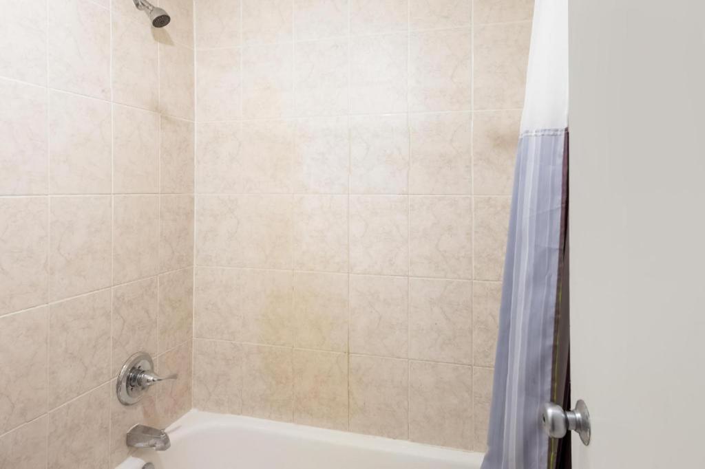 OYO Hotel O Jackson I-55 North photo 3
